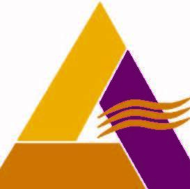 Fundraising Page: The National Alliance